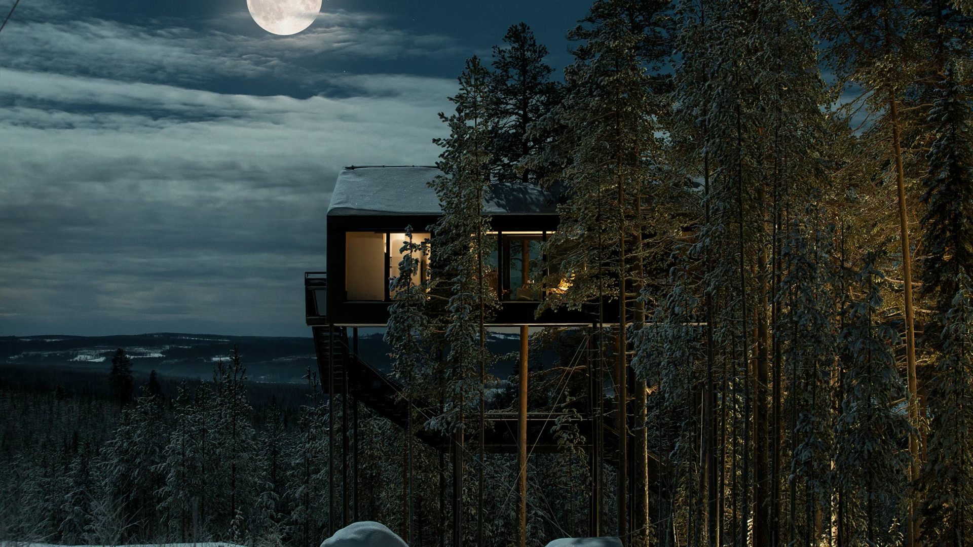 Tree hotel швеция харадс презентация