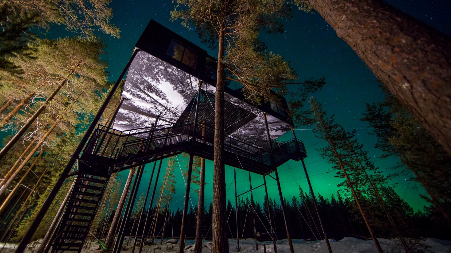 Treehotel швеция