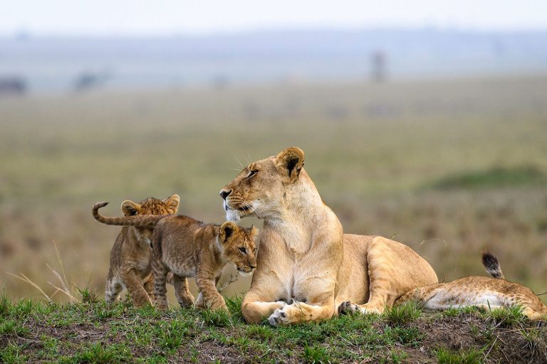 More than a safari in Kenya