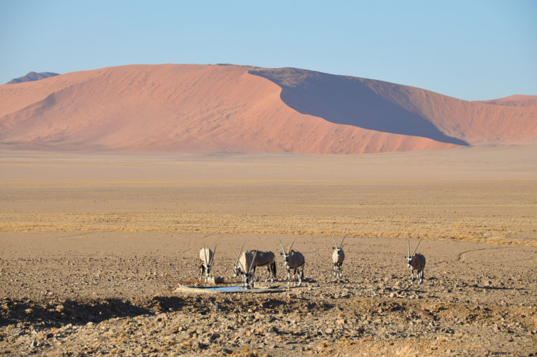 Namibia, otro mundo